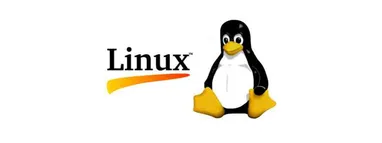 How to Install NordLayer VPN Client on Ubuntu 20.04 and Connect to a Virtual Network How to Install NordLayer VPN Client on Ubuntu 20.04 and Connect to a Virtual Network